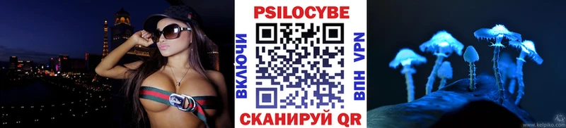 где купить наркоту  Череповец  Псилоцибиновые грибы Cubensis 