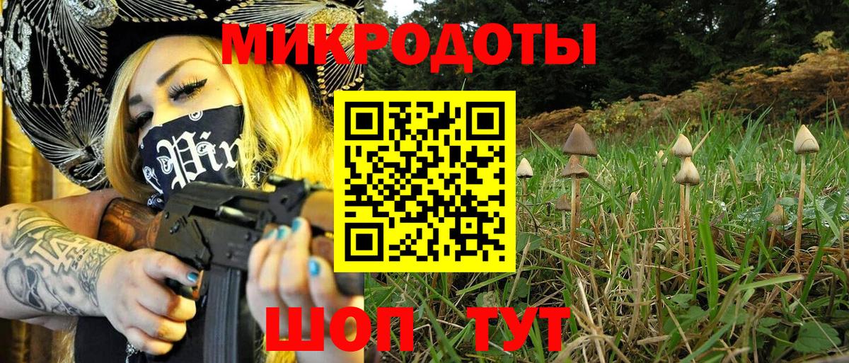 Псилоцибиновые грибы Magic Shrooms  Вход с VPN  Галлюциногенные грибы мицелий  купить   Череповец 